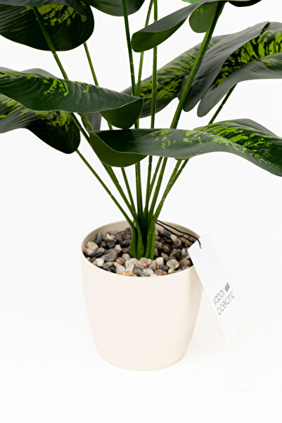 YAPAY ÇİÇEKÇİNİZ Taş Detaylı Beyaz Saksıda 12 Yapraklı 50 cm Yapay Salon Çiçeği