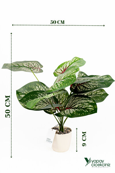 YAPAY ÇİÇEKÇİNİZ Taş Detaylı Beyaz Saksıda 12 Yapraklı 50 cm Yapay Salon Çiçeği