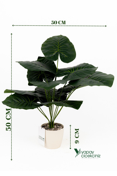 YAPAY ÇİÇEKÇİNİZ Taş Detaylı Beyaz Saksıda 12 Yapraklı 50 cm Yapay Salon Çiçeği