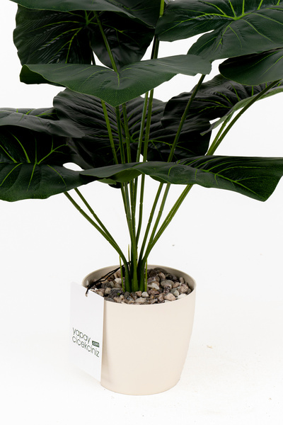 YAPAY ÇİÇEKÇİNİZ Taş Detaylı Beyaz Saksıda 12 Yapraklı 50 cm Yapay Salon Çiçeği