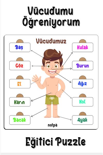 kutuTR Notpa Children's Educational Kissing Body Puzzle