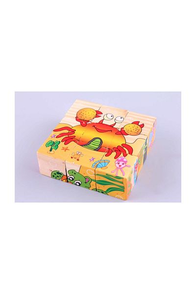 Learning Toys Children's Wooden Puzzle Cubes Toy