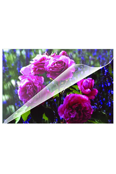 Olympia A6 125 Micron Laminasyon Filmi ( 100 Adet )