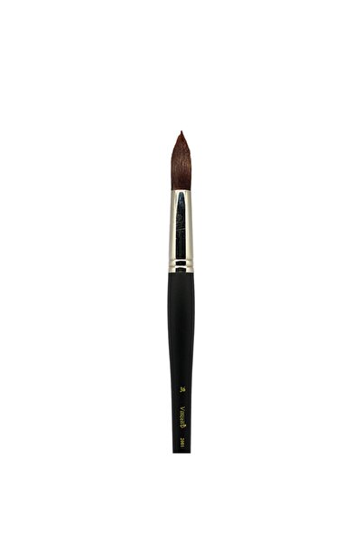 Vincent Vıncent Fırça Seria 2001 Nr.:36