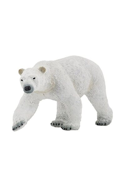 Generic Brand Ursul polar