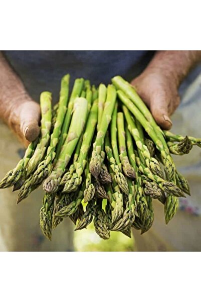 Bilgarden Kuşkonmaz Tohumu 500 Adet