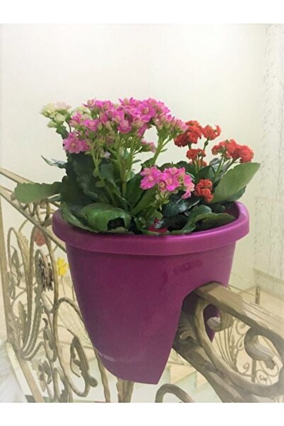 Ekodoğa Zümrüt Saksı 7,5 Lt 1 Adet Vişne Renk Küpeşte Balkon Saksısı Balkon Demiri Saksısı Renkli Saksı