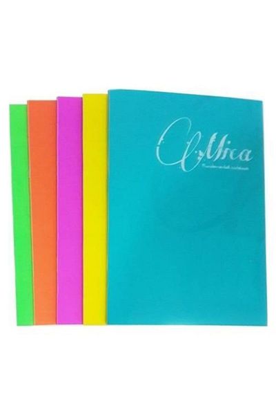 Gıpta Mıca A4 80 Sheets Striped Plastic Cover
