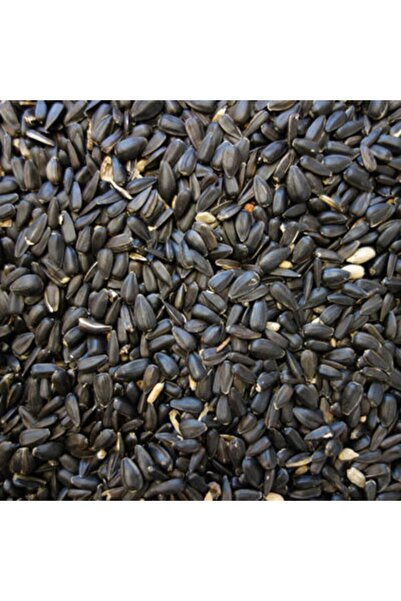 4F Papağan Çekirdek Yemi 500 Gr Ufak Taneli