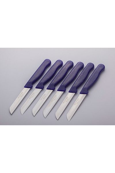 Solingen Purple Glitter 6 Pieces Serrated Fruit and Vegetable Knife