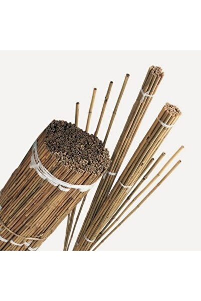 Bahçem Bambu 50'li Bitki Destek Çubuğu 120cm