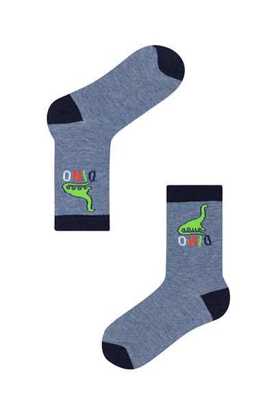 Penti Multi Colored Boy's Dino 4 Piece Sock Socks