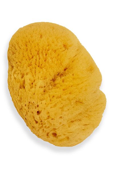 BAZAAR 4 Unprocessed Natural Mediterranean Sea Sponge 001