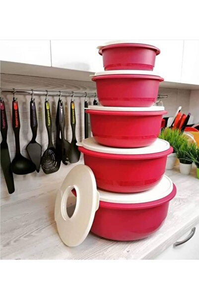 Tupperware Mega Mixim 5-Piece Full Set Fuchsia Special Cover
