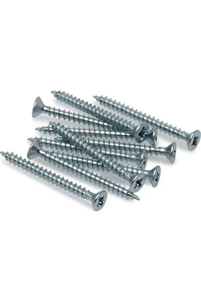 Genel Markalar 4x50 Sunta ve Ağaç Vidası 100 Adet