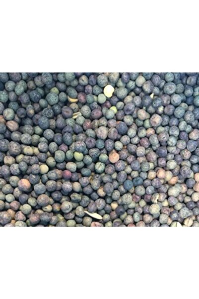 GERÇEK TARIM Yem Bezelyesi Tohumu 5 Kg