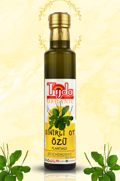 TİJDA SİNİRLİ OT ÖZÜ (SİNİR OTU) (Plantago lanceolata) 250 ML %100 SAF-Doğadan Gelen Geleneksel Destek