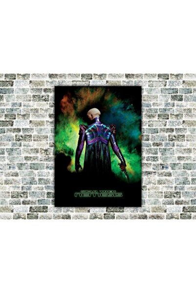icase Star Trek Nemesis Tablou din lemn