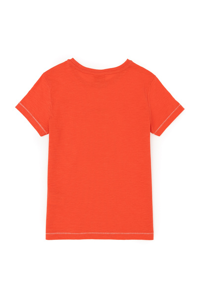 U.S. Polo Assn. US Polo Assn.Men's Pomegranate Flower T-Shirt - GANISKIDS