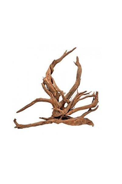 canlipetshop Yati Kökü (Red Moor Wood ) - L - 40-50 Cm