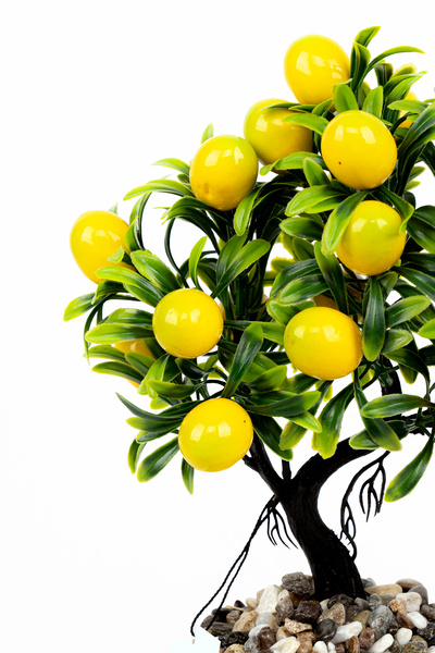 YAPAY ÇİÇEKÇİNİZ Artificial Bonsai Tree in Stone Detailed Wooden Pot