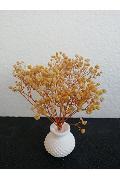 TTH Takatuka Hediyelik Dekoratif 6lı Set Mini Tombik Beton Vazolu Saksılı Kuru Çiçek Başak Cipso Kahve Yanı Sunumluk Obje