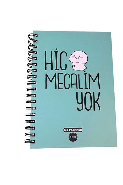 Bam Annual Planner Notebook - I Have No Hic Monetry, Talking Agenda, Blue Stationery
