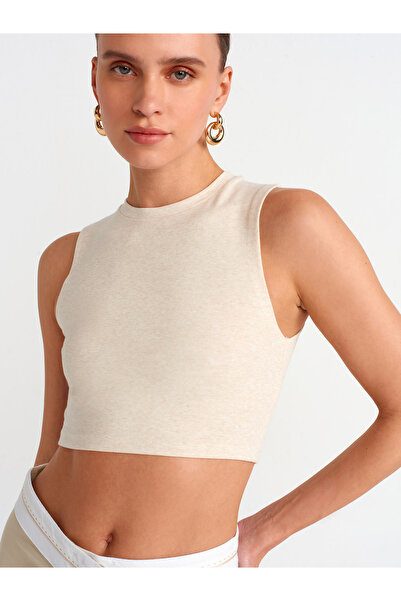 Dilvin 30998 المحاصيل الأعلى