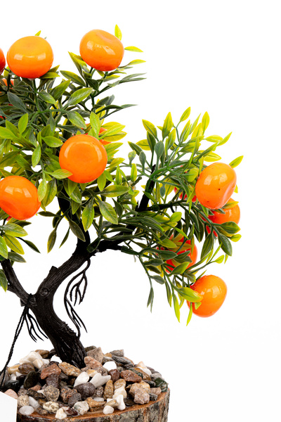 YAPAY ÇİÇEKÇİNİZ Artificial Bonsai Tree in Stone Detailed Wooden Pot