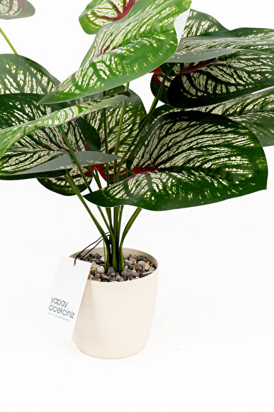 YAPAY ÇİÇEKÇİNİZ Taş Detaylı Beyaz Saksıda 12 Yapraklı 50 cm Yapay Salon Çiçeği