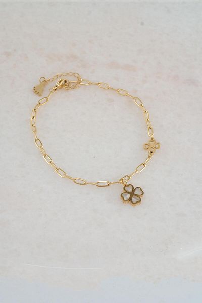 By Zeyna Aksesuar Women's 316 L Tarnish Anti Allergenic Steel Anklet Zy00013
