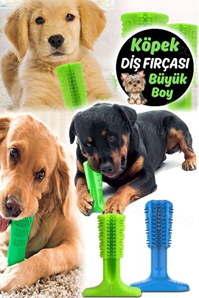 Munico Köpek Kaktüs Interaktif Kauçuk Çiğneme Oyuncakları Büyük Köpekler Için Diş Temizleme Diş Fırçası