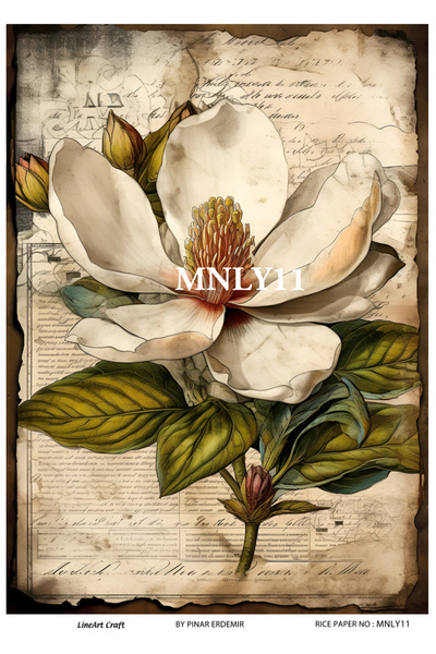 Baykuşca Manolya Serisi MNLY11 Manolya, Çiçek Desenli 30*42 cm Pirinç Dekopaj