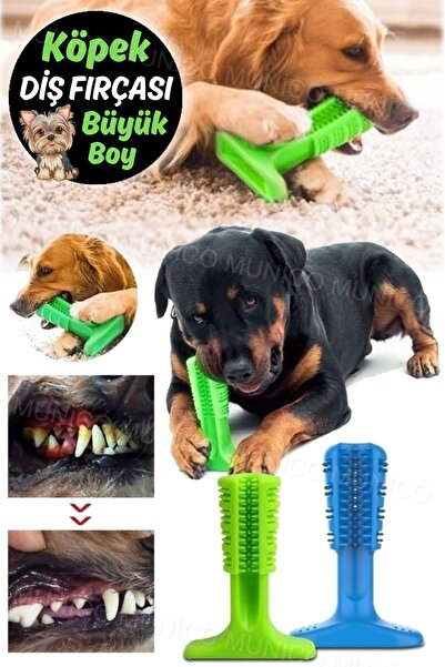 Munico Köpek Kaktüs Interaktif Kauçuk Çiğneme Oyuncakları Büyük Köpekler Için Diş Temizleme Diş Fırçası