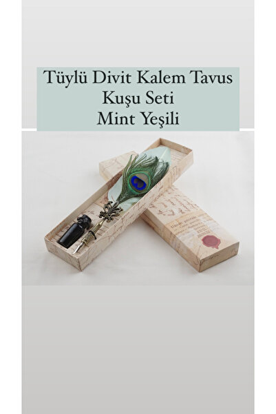 budigift Tüylü Divit Kalem Seti Tavus Kuşu Mint Yeşili