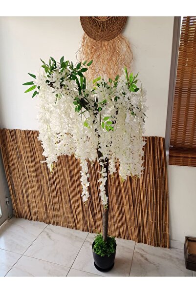 YEŞİLADA Yapay Akasya Ağacı 1.50 m Boy Mini Beyaz Akasya Çiçek  Sarkıt Yaprak Ağaç