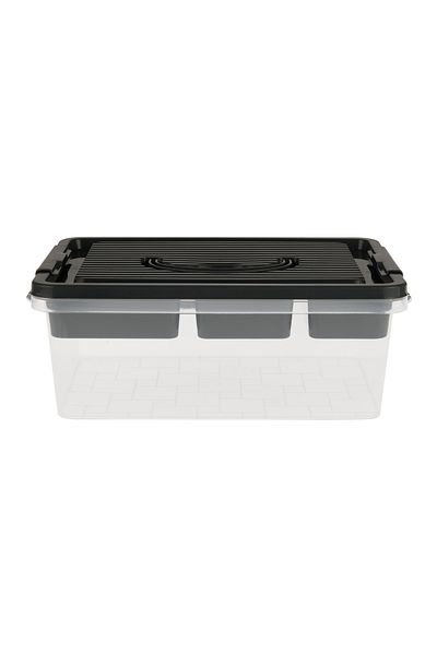 Decobella Anthracite/transparent 21x31x12 cm Multi-purpose Organizer Box