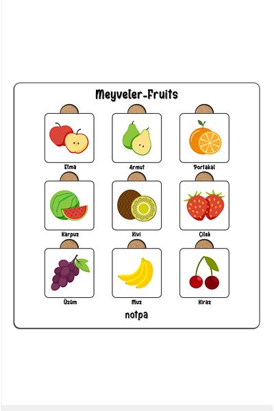 kutuTR Notpa Fruit Educational Puzzle for Children