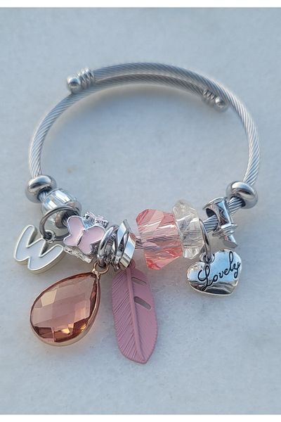 Ankı Drop Stone Charm Pandoramodel Steel Bracelet