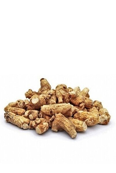 aleyna baharat Çöven Kökü 500 Gr. Çöven Otu Kök Sabun Otu