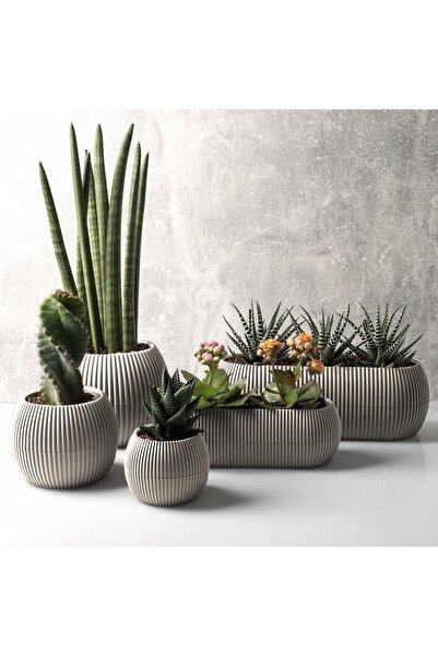 DDPEST LW- طقم أواني زهور مرجانية مزخرفة من 5 قطع باللون البيج، أوعية للنباتا...