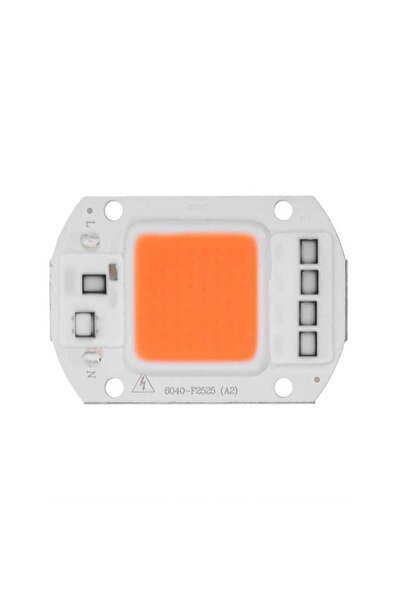 Motorobit Amber Kehribar 220V Projektör Cob Led 50W Driver Çipli