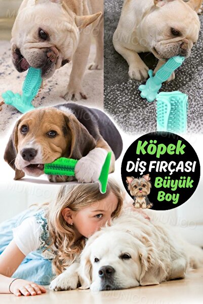 Munico Köpek Kaktüs Interaktif Kauçuk Çiğneme Oyuncakları Büyük Köpekler Için Diş Temizleme Diş Fırçası