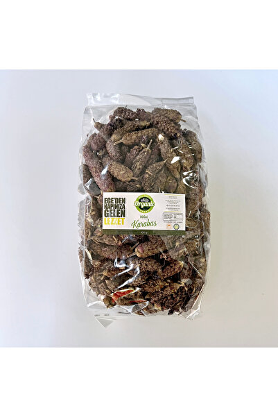 EFE ORGANİC KARABAŞ OTU KURUSU 100 GRAM