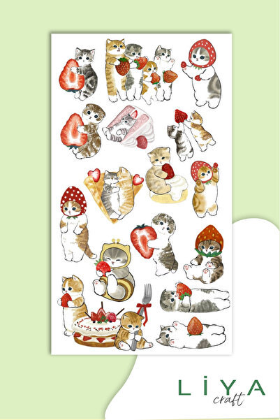 LiyaCraft Sevimli Vektör Kedi Planner Ajanda Bullet Journal Için Uygun Set