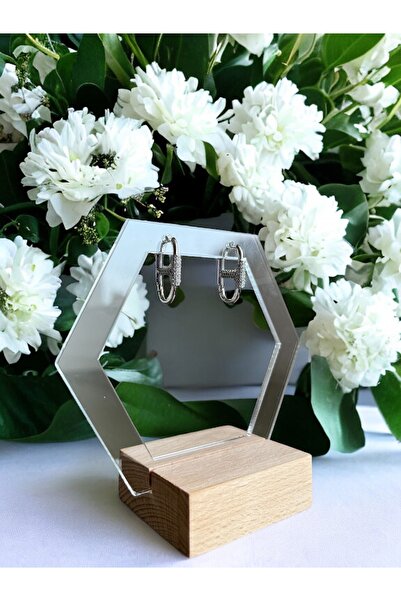 Asteria Jewelry Gümüş Zirkon Taşlı Tasarım Küpe