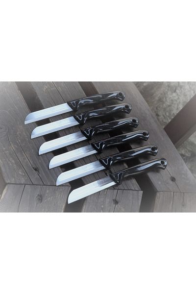 Solingen 12 Pcs Black Glitter Fruit Vegetable Knife - Serrated with Holes on Handle