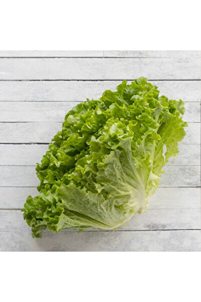 Arzuman Tohumculuk Marul Tohumu Kıvırcık İri Göbekli - 2500 adet - açık yerli...