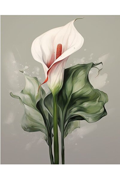 LİLYHOBBYLAND Sayılarla Boyama Hobi Seti 50X65 cm (Çerçeveli- Renkli Baskılı): Calla Lily 3