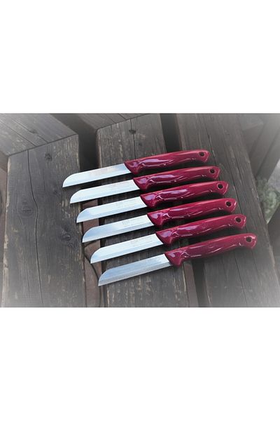 Solingen 12 Pieces Glittered Fruit and Vegetable Knife - Serrated with Holes on the Handle